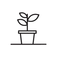 Ícone | Calçada com boulevard e vegetação diferenciados